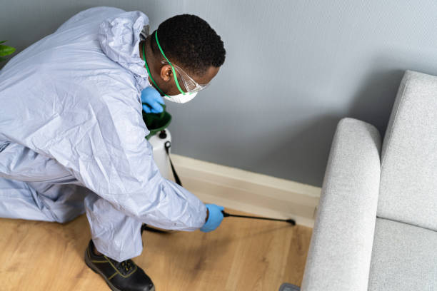 Emergency Pest Control Services in Lapeer, MI